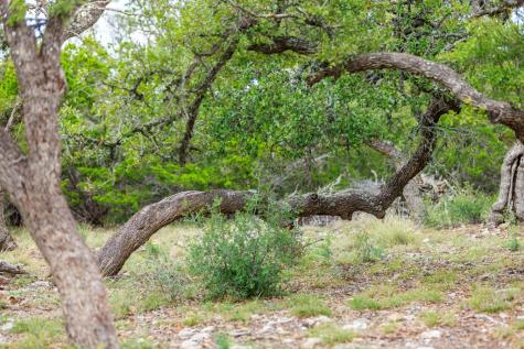456 Colt Valley Road Fredericksburg TX 78624