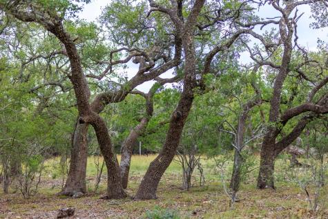456 Colt Valley Road Fredericksburg TX 78624