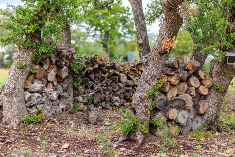 456 Colt Valley Road Fredericksburg TX 78624