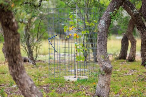 456 Colt Valley Road Fredericksburg TX 78624