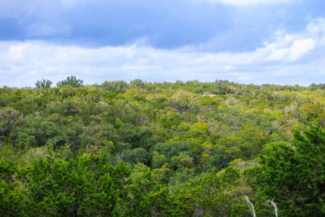 456 Colt Valley Road Fredericksburg TX 78624