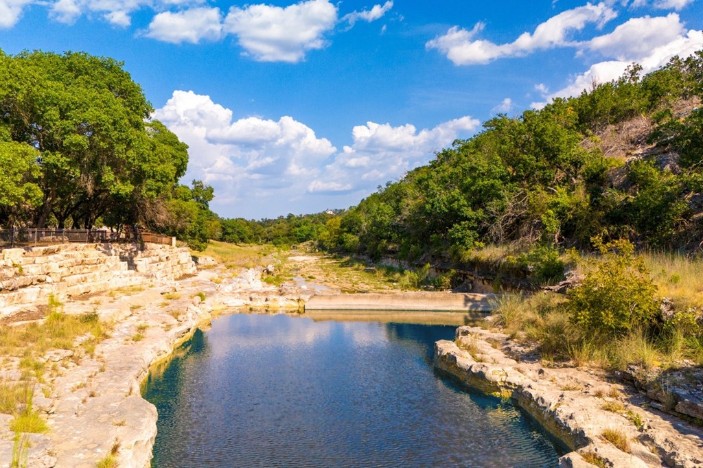 281 Goose Landing Way Harper TX 78631