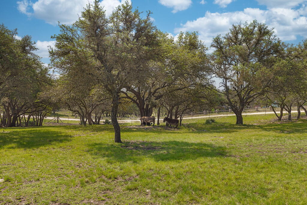 222 Spanish Oak Trail Harper TX 78631