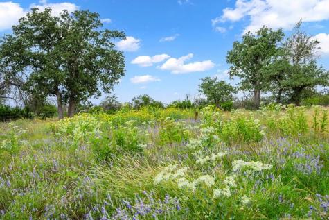 2320 Fiedler Road Harper TX 78631