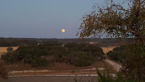 2320 Fiedler Road Harper TX 78631