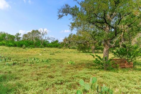 Lot 85 Axis Circle Fredericksburg TX 78624