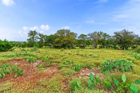 Lot 85 Axis Circle Fredericksburg TX 78624