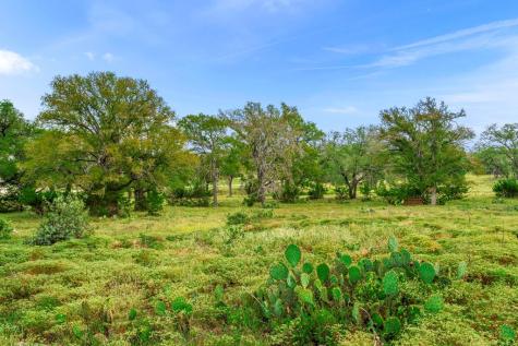 Lot 85 Axis Circle Fredericksburg TX 78624