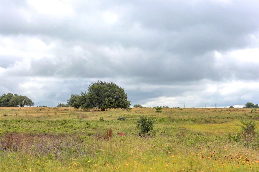 245 Big Sky Road Harper TX 78631