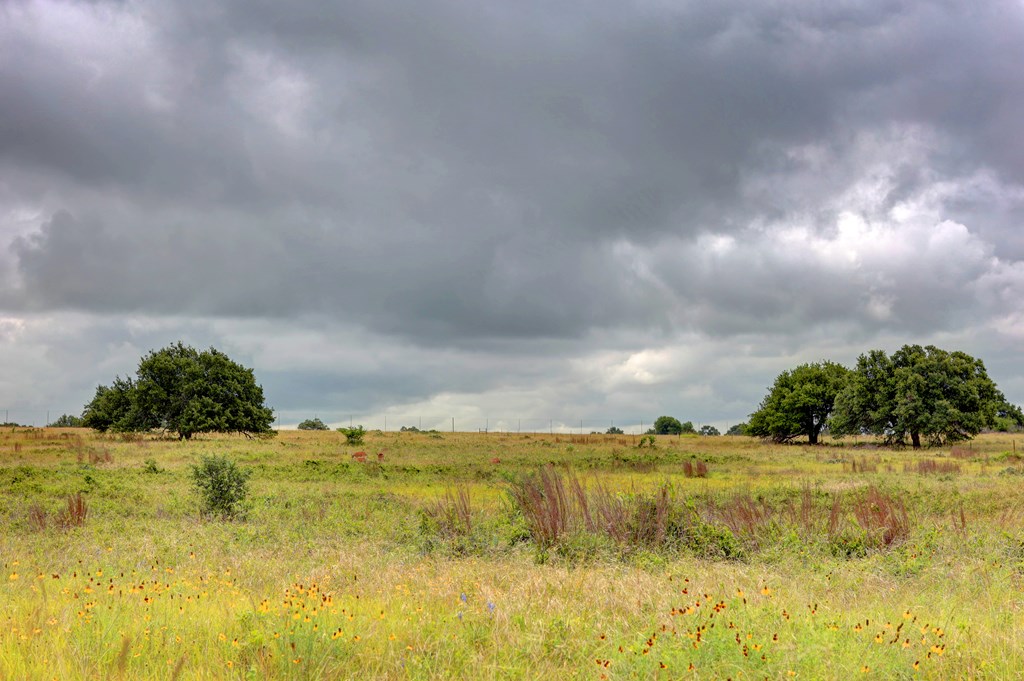 245 Big Sky Road Harper TX 78631