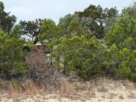 1154 Spitz Kegel View Drive Canyon Lake TX 78133