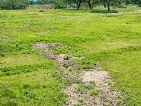 1051 N Cattlemans Crossing Drive Kerrville TX 78028