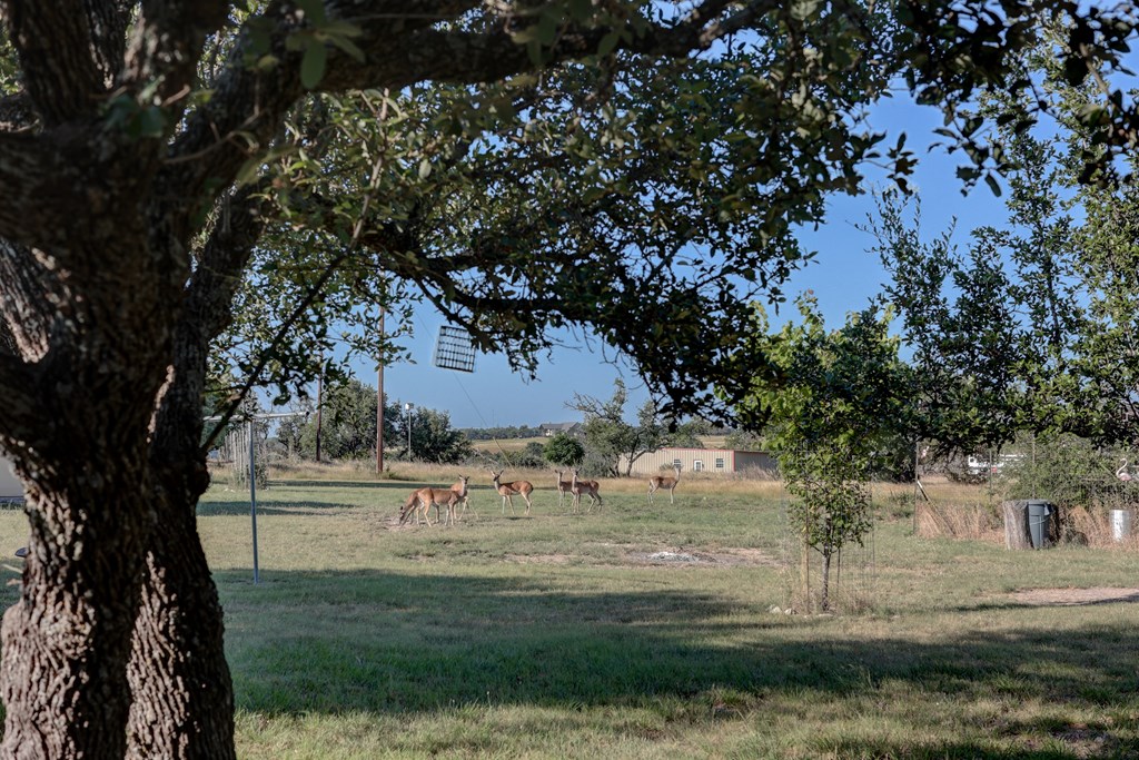 680 Wind Ridge Drive Harper TX 78631