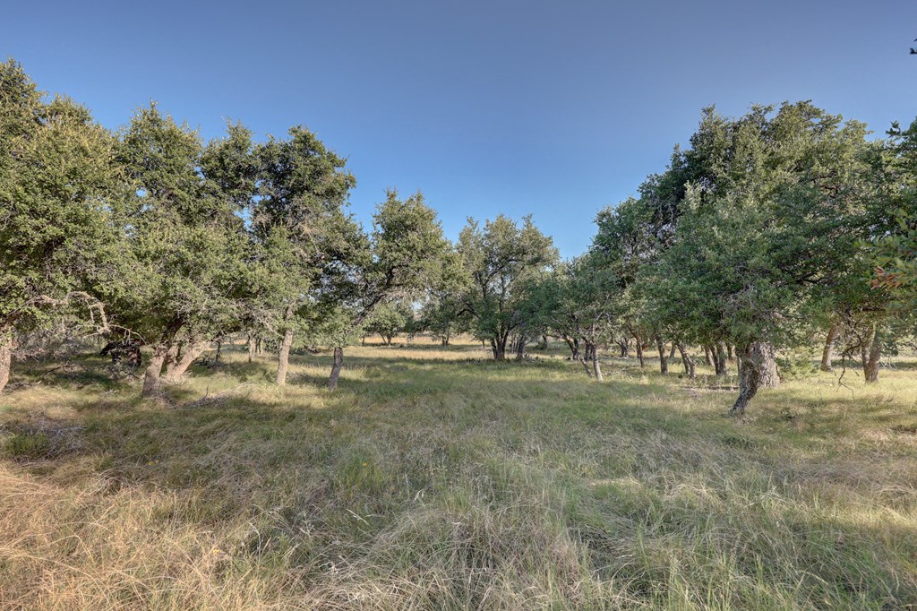 680 Wind Ridge Drive Harper TX 78631