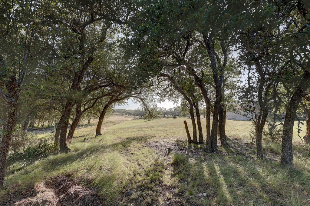 680 Wind Ridge Drive Harper TX 78631