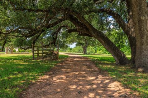 249 Eureka Lane Fredericksburg TX 78624