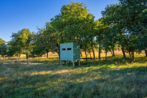 28 Ruger Road Fredericksburg TX 78624