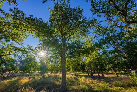 28 Ruger Road Fredericksburg TX 78624