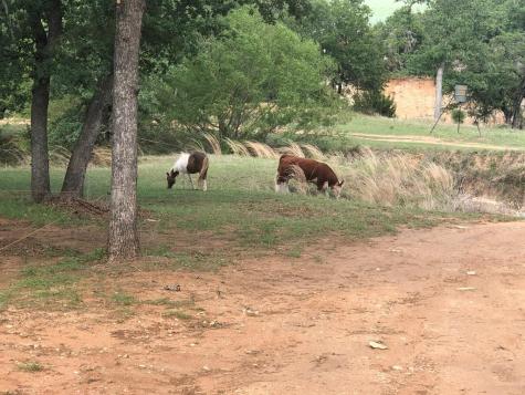 661 Sandy Lane Fredericksburg TX 78624