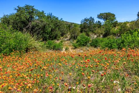 256 Persimmon Point Mason TX 76856