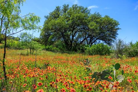 256 Persimmon Point Mason TX 76856