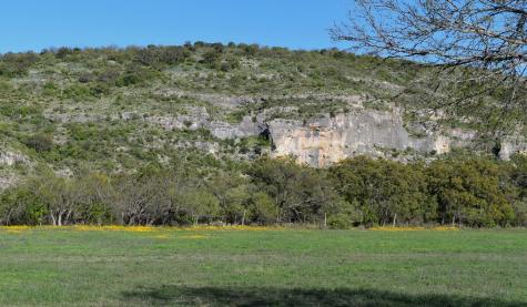 256 Persimmon Point Mason TX 76856