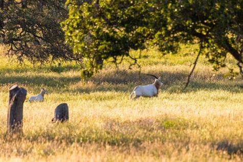 4205 Fredericksburg Road Kerrville TX 78028