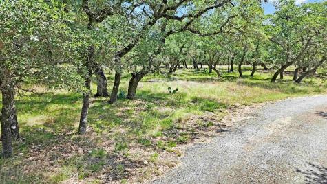 815 Oxen Trail Fredericksburg TX 78624