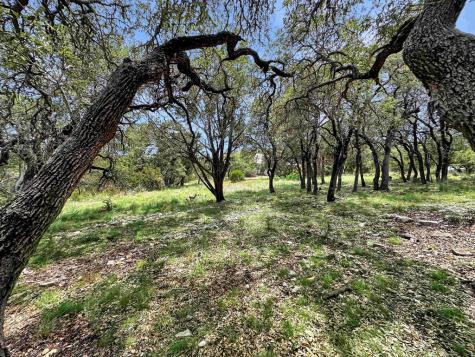 815 Oxen Trail Fredericksburg TX 78624