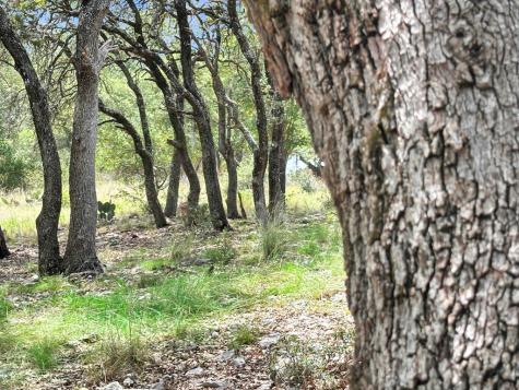 815 Oxen Trail Fredericksburg TX 78624