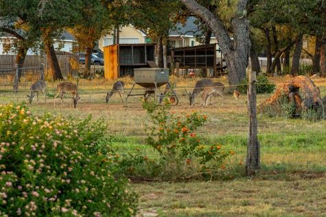 271 Smokehouse Road Fredericksburg TX 78624