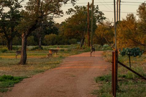 271 Smokehouse Road Fredericksburg TX 78624