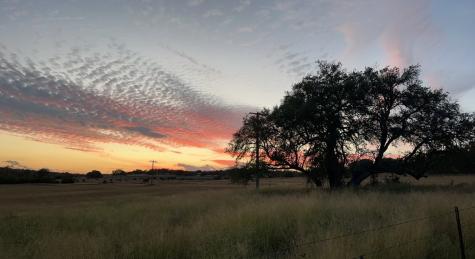 1251 Doebbler Road Fredericksburg TX 78624