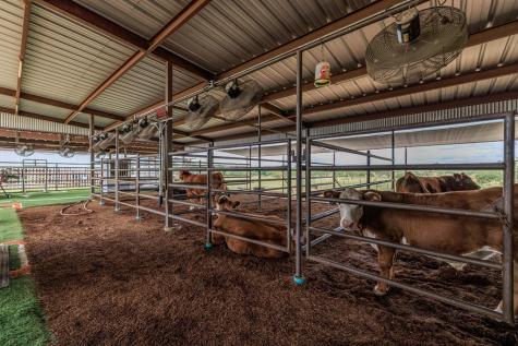 5686 Ranch Road 1631 Fredericksburg TX 78624