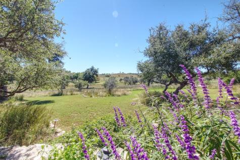 382 Breezy Hills Drive Fredericksburg TX 78624