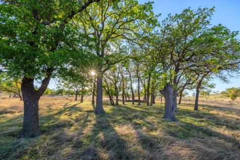 7158 S Highway 87 Fredericksburg TX 78624