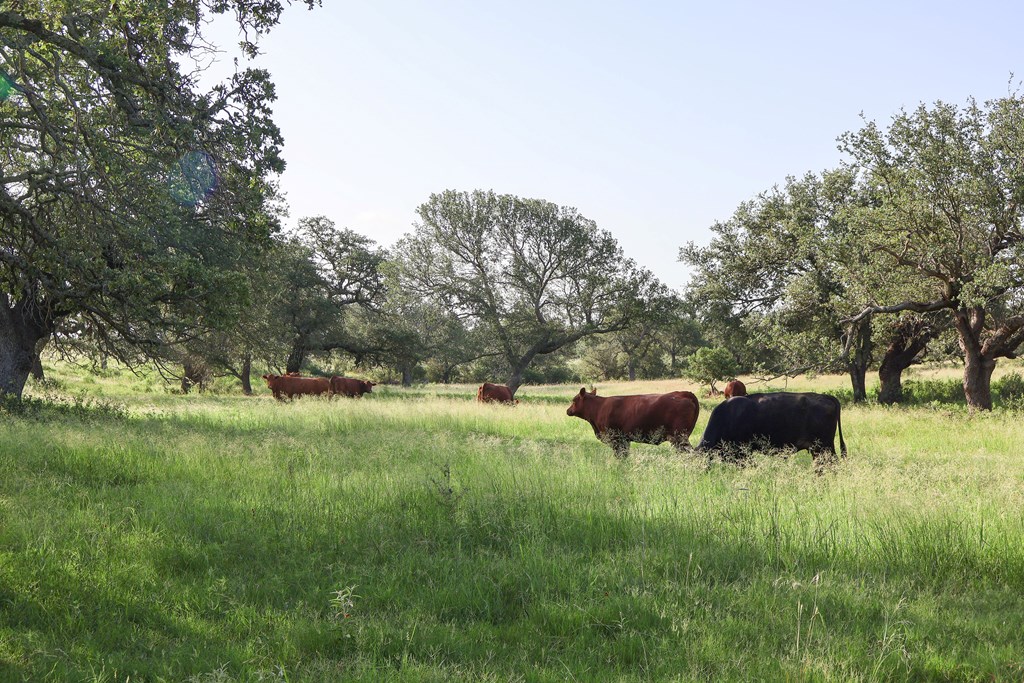 300 Private Road 626 Voca TX 76887