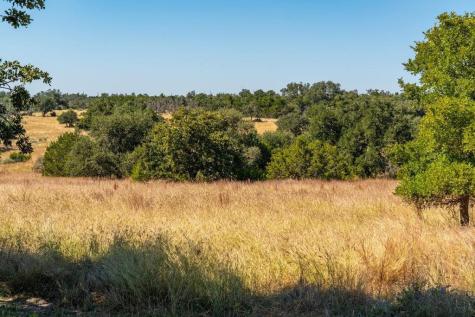 9848 W Us Highway 290 Fredericksburg TX 78624