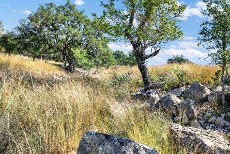 3408 Grape Creek Road Fredericksburg TX 78624