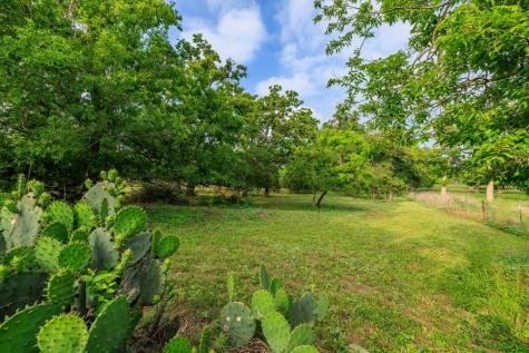 514 Knopp School Road Fredericksburg TX 78624