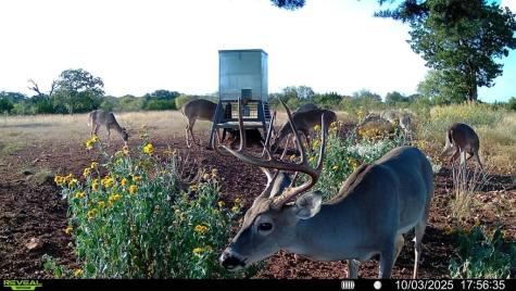 647 Funf Kinder Road Fredericksburg TX 78624