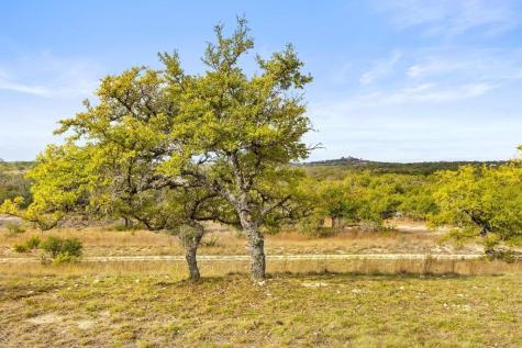 232 Crooked Oak Lane Round Mountain TX 78663