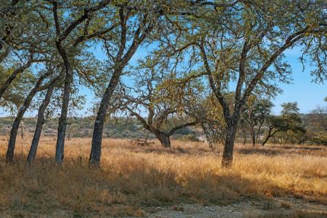 521 Bluff Creek Road Center Point TX 78010