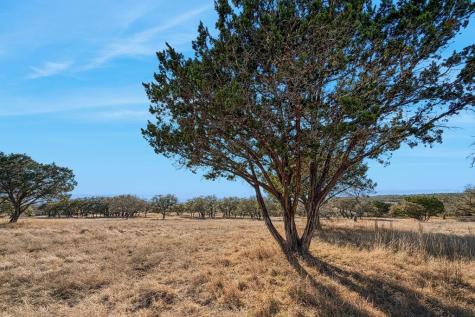 521 Bluff Creek Road Center Point TX 78010