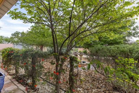 1237 Hollmig Lane Fredericksburg TX 78642