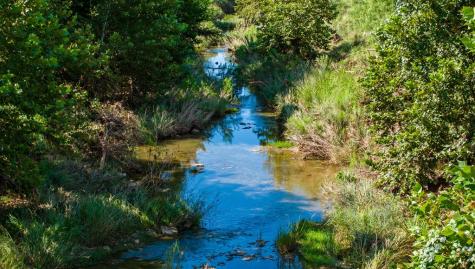 3936 S State Highway 16 Fredericksburg TX 78624