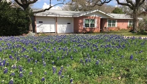 1206 Crenwelge Drive Fredericksburg TX 78624