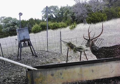 180 Bee Hive Road Hunt TX 78024