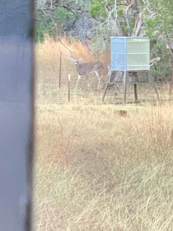 180 Bee Hive Road Hunt TX 78024