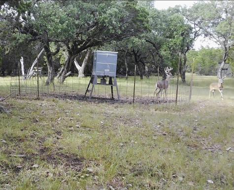 180 Bee Hive Road Hunt TX 78024
